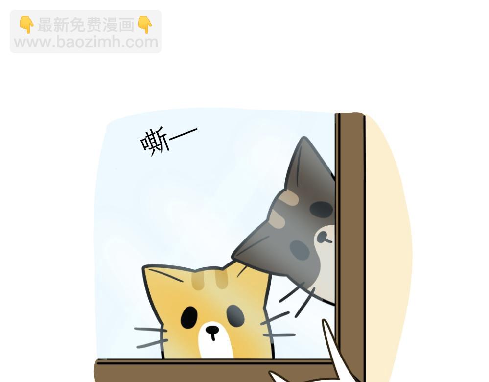 伊丽莎白圈-第16话