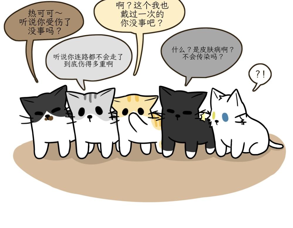 伊丽莎白圈-第16话