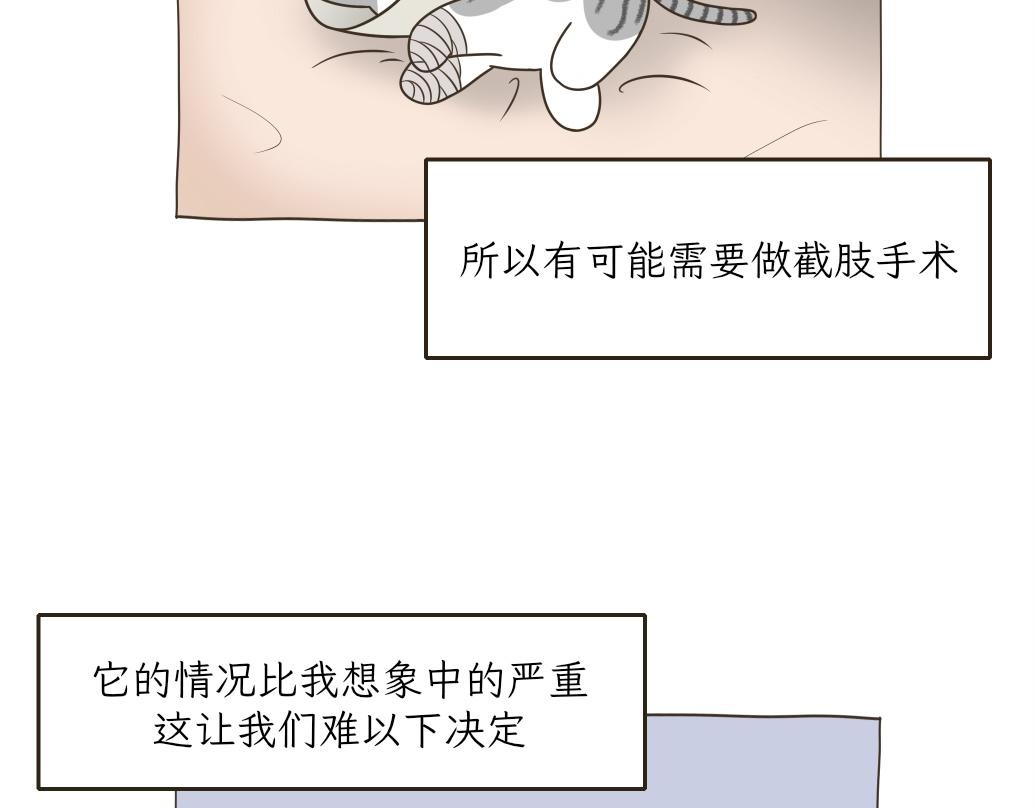 依喵儿的故事-第18话