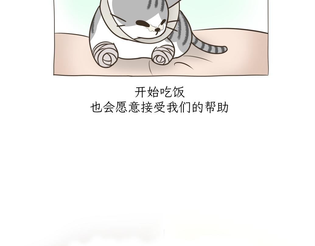 依喵儿的故事-第18话