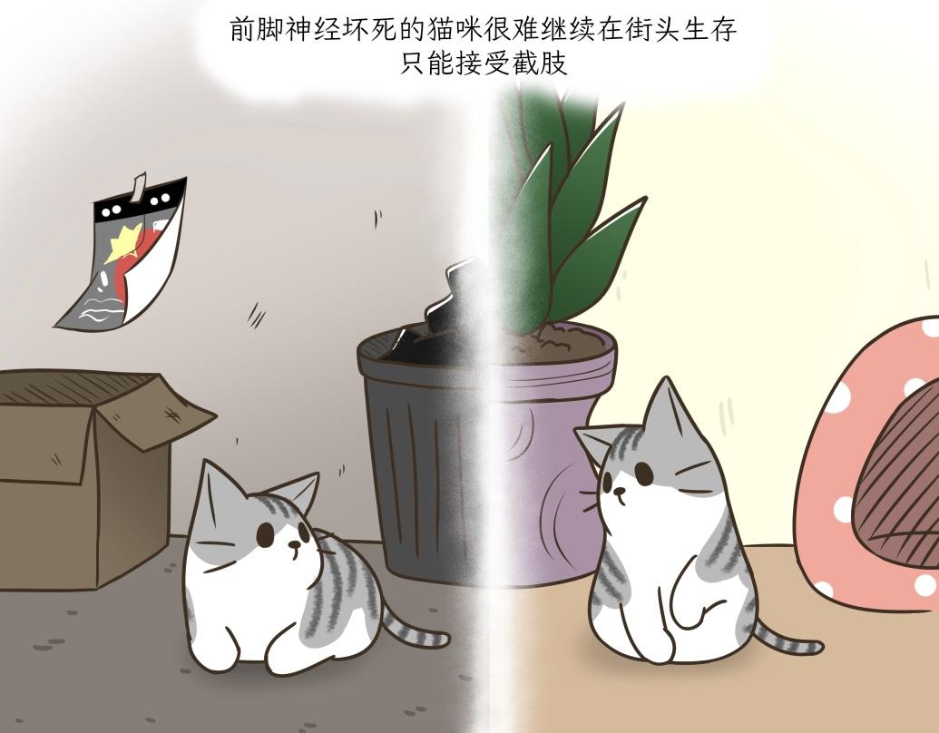 依喵儿的故事-第18话