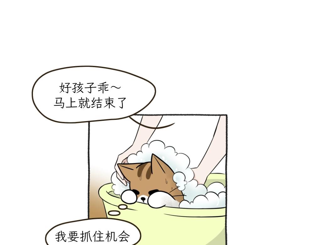 洗澡大作战-第20话