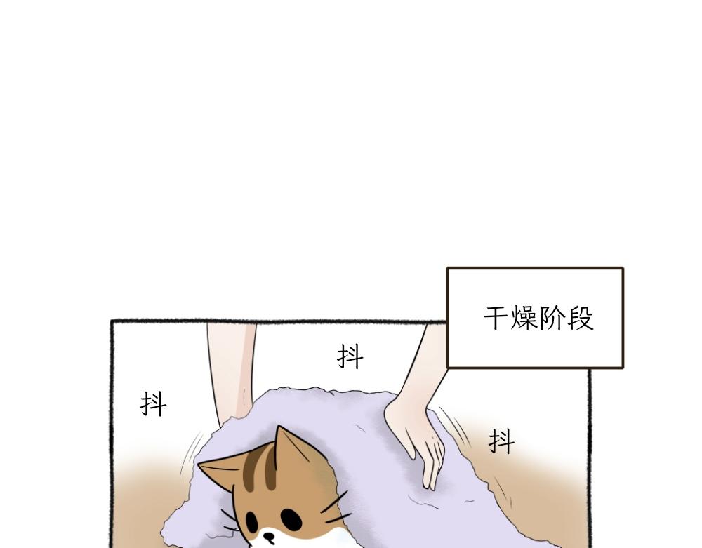 洗澡大作战-第20话