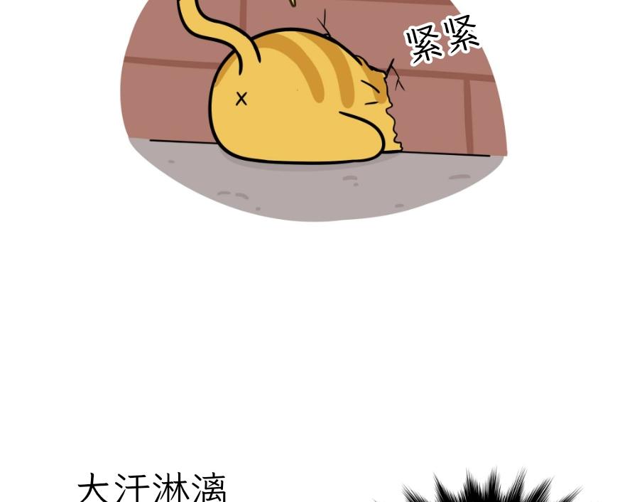 芝士的一天-第22话