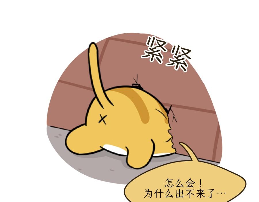 芝士的一天-第22话