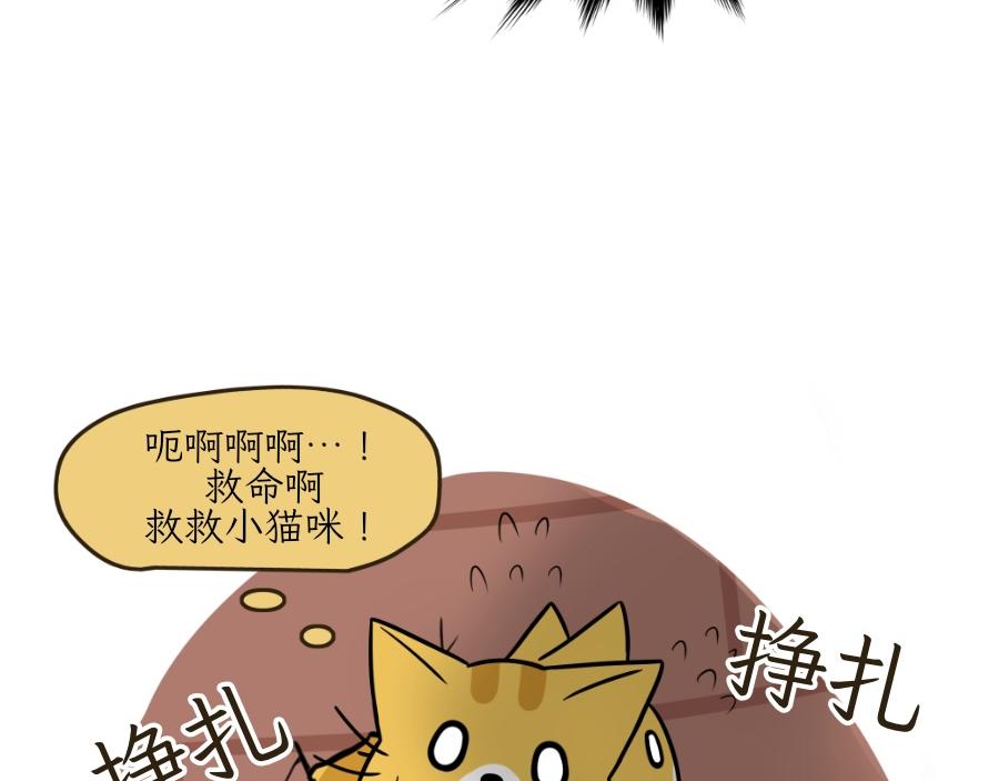 芝士的一天-第22话