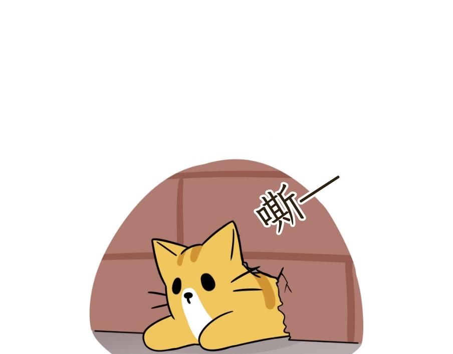 芝士的一天-第22话