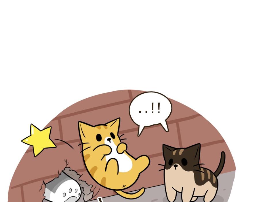 芝士的一天-第22话