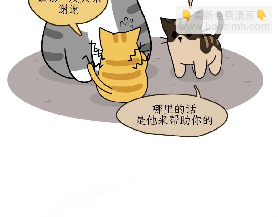 芝士的一天-第22话