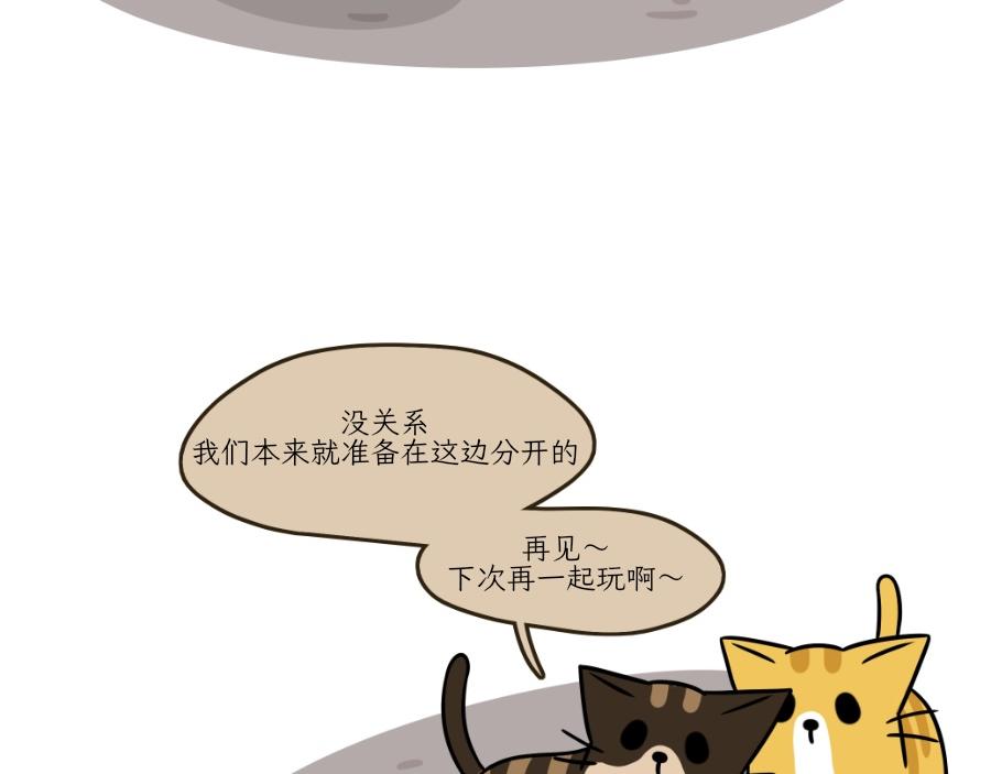 芝士的一天-第22话