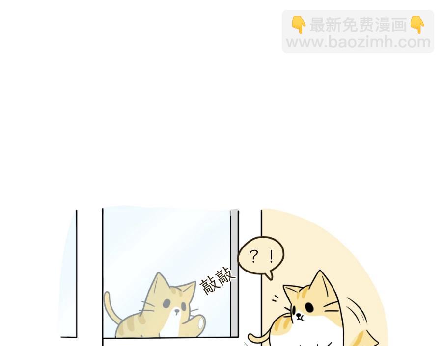 芝士的一天-第22话