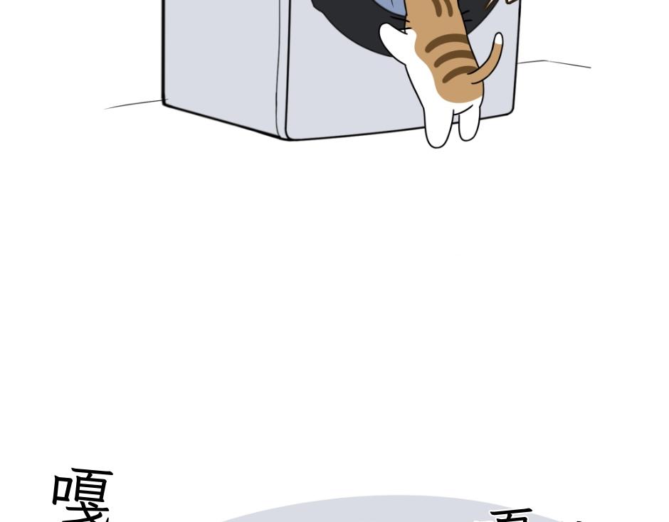 热可可技能满点-第24话