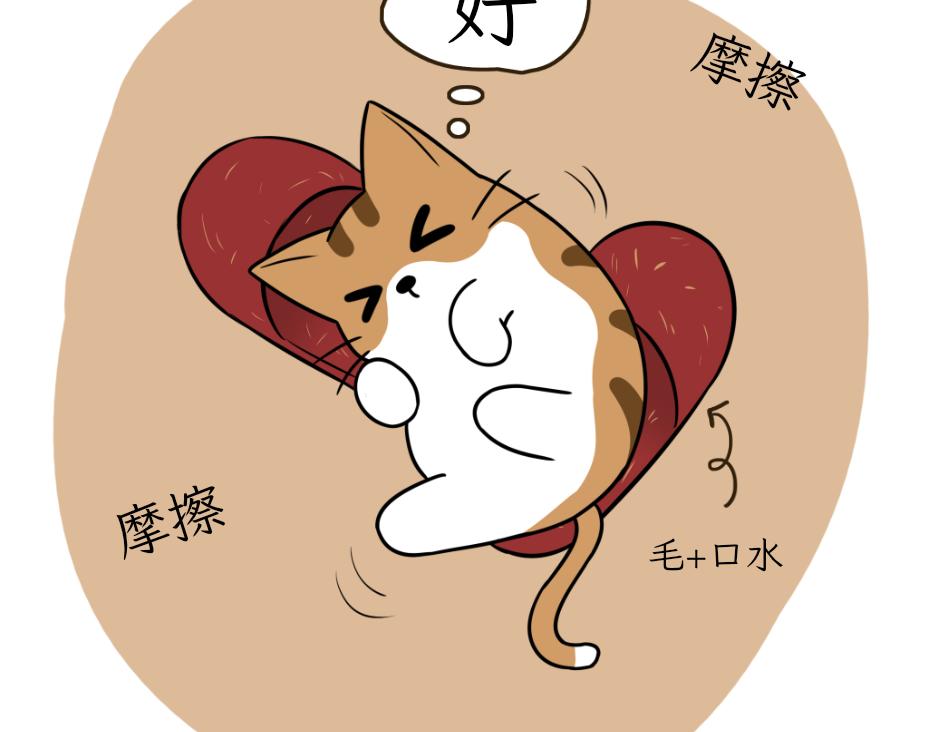 完美的借口-第26话