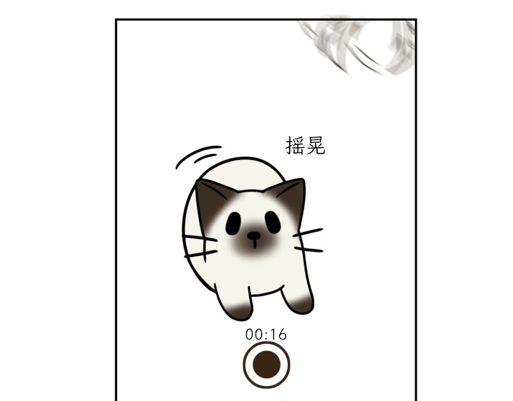 吐司貓咪POUNDCAT - 捉迷藏 - 6