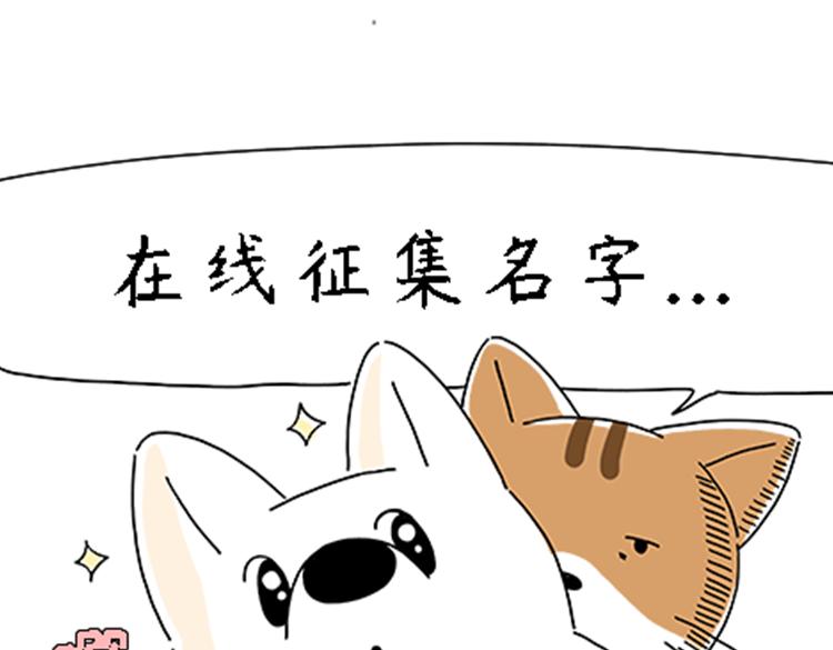 热可可的新家人-第30话