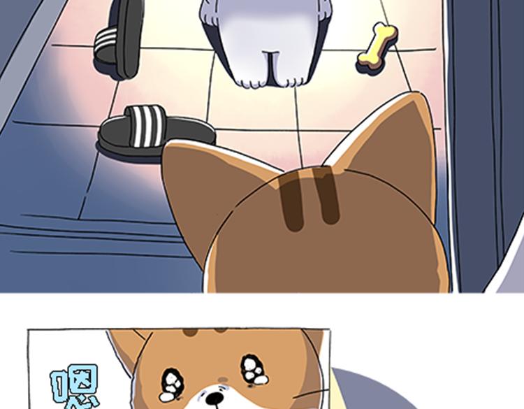 热可可的新家人-第30话