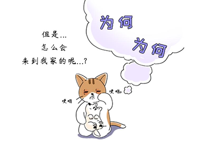 热可可的新家人-第30话