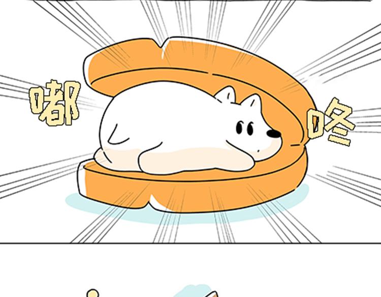 热可可的新家人-第30话