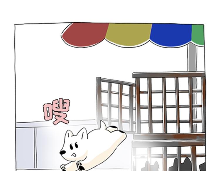 热可可的新家人-第30话