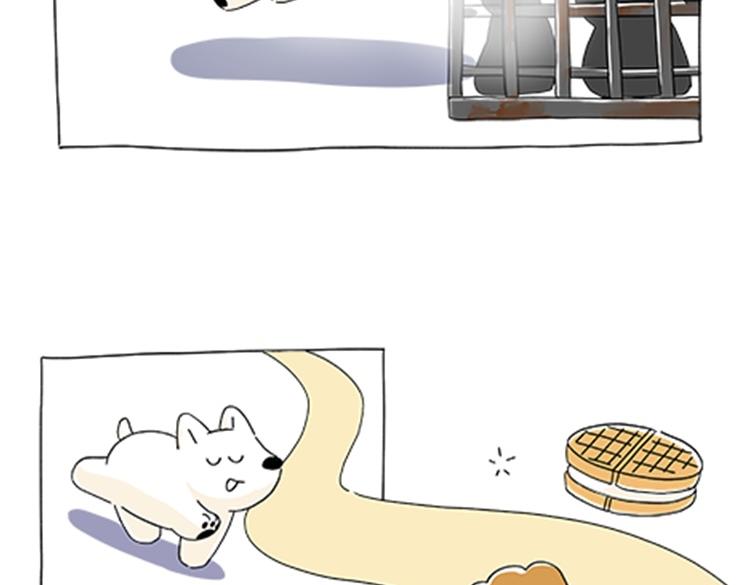 热可可的新家人-第30话