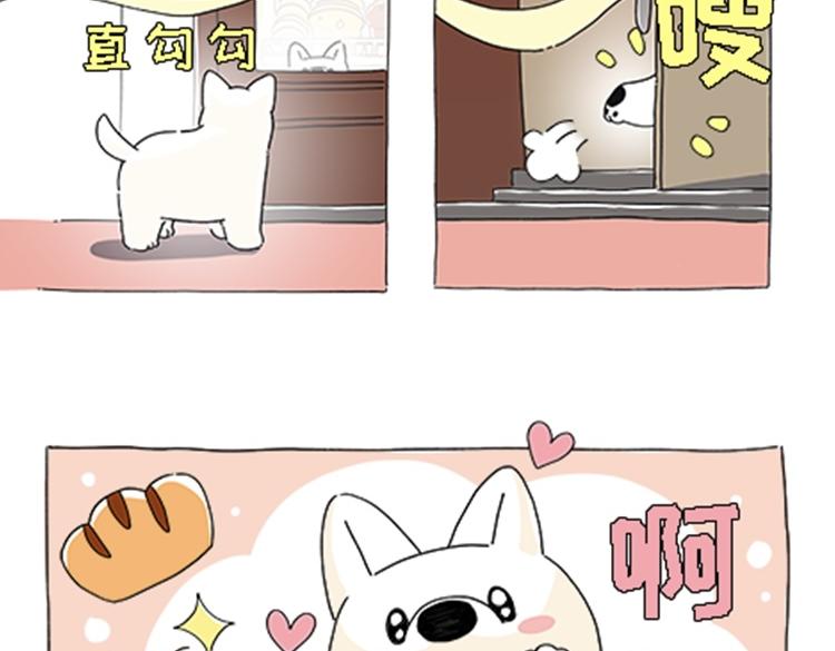 热可可的新家人-第30话