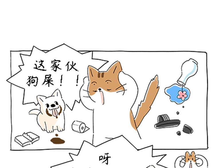 热可可的新家人-第30话