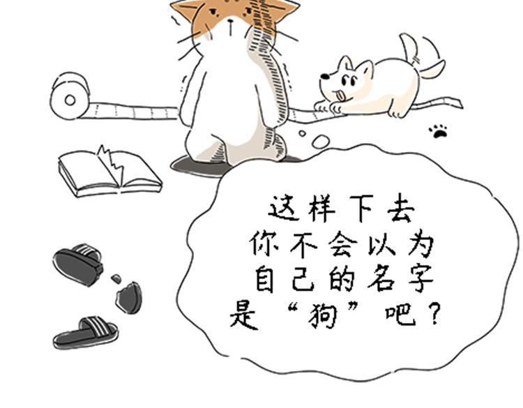 热可可的新家人-第30话