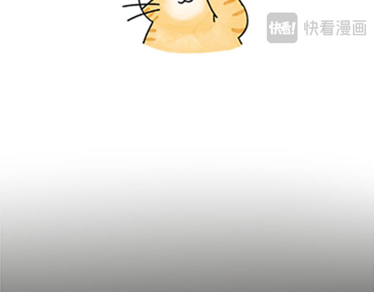 热可可和小奶油的梦之星电台(1/2)-第32话