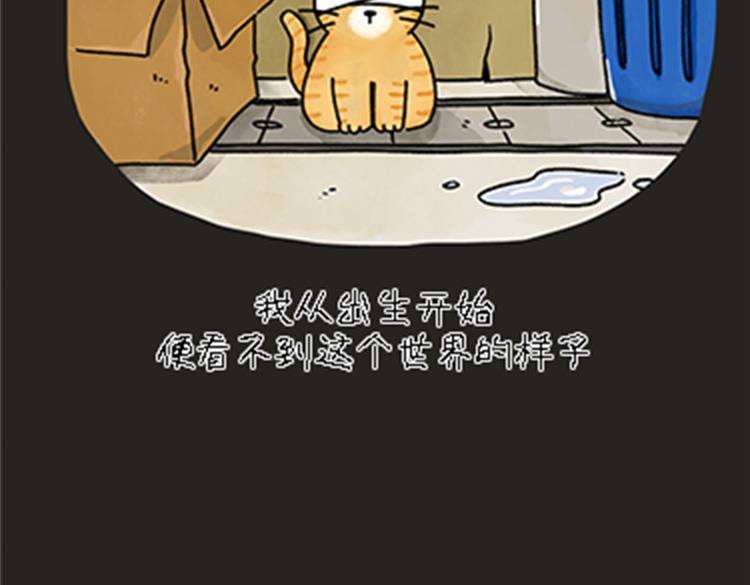 热可可和小奶油的梦之星电台(1/2)-第32话