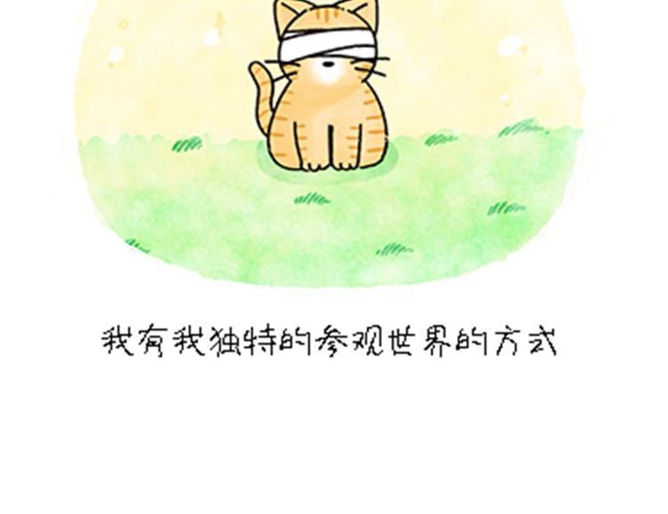 热可可和小奶油的梦之星电台(1/2)-第32话