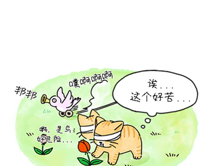 热可可和小奶油的梦之星电台(1/2)-第32话