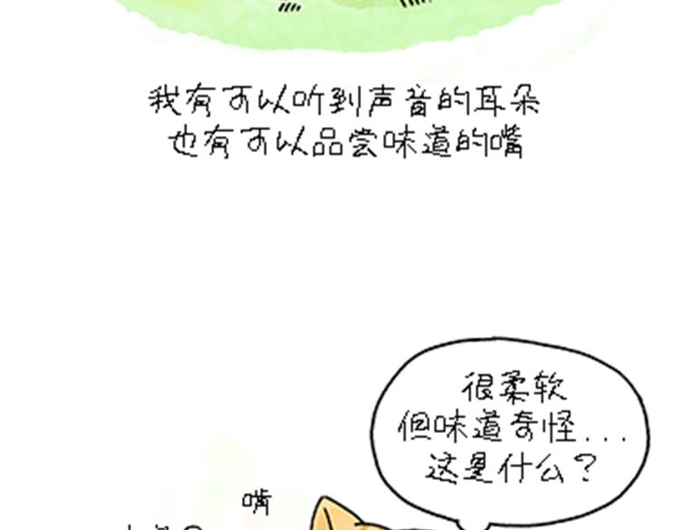 热可可和小奶油的梦之星电台(1/2)-第32话