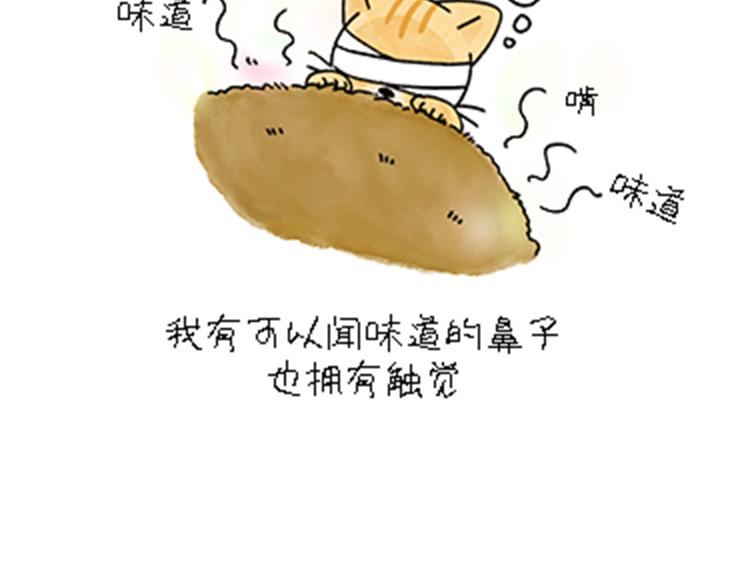 热可可和小奶油的梦之星电台(1/2)-第32话