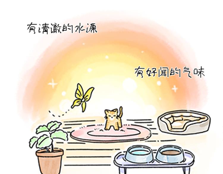 热可可和小奶油的梦之星电台(1/2)-第32话