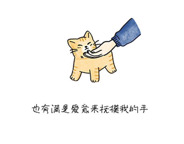 热可可和小奶油的梦之星电台(1/2)-第32话