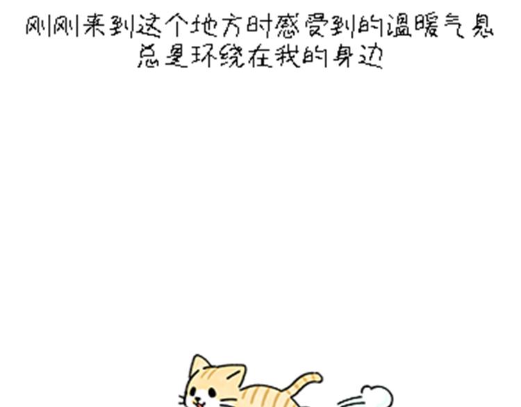 热可可和小奶油的梦之星电台(1/2)-第32话