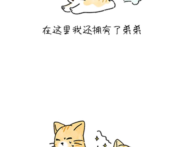 热可可和小奶油的梦之星电台(1/2)-第32话