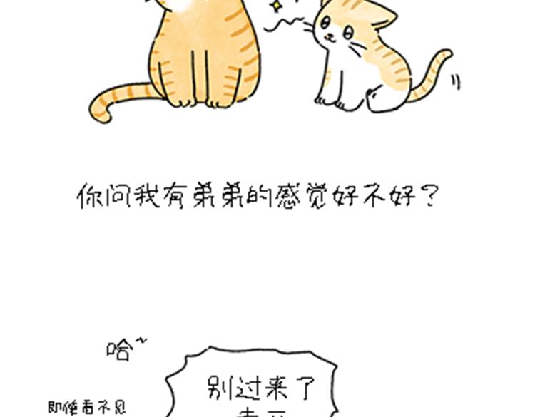 热可可和小奶油的梦之星电台(1/2)-第32话