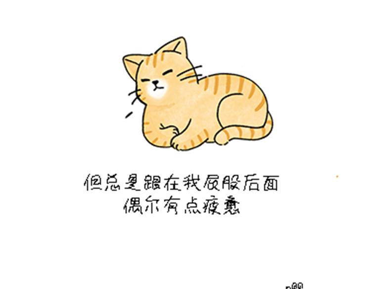 热可可和小奶油的梦之星电台(1/2)-第32话