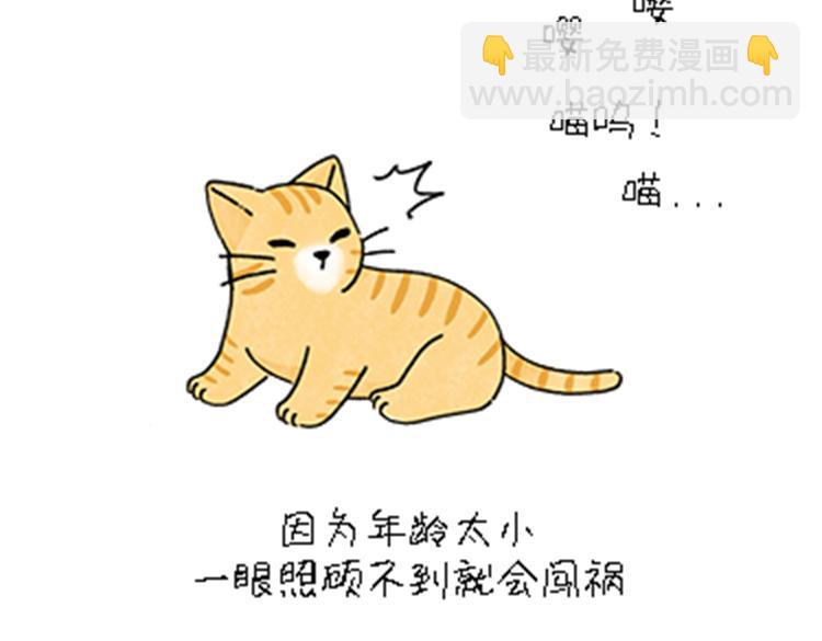 热可可和小奶油的梦之星电台(1/2)-第32话