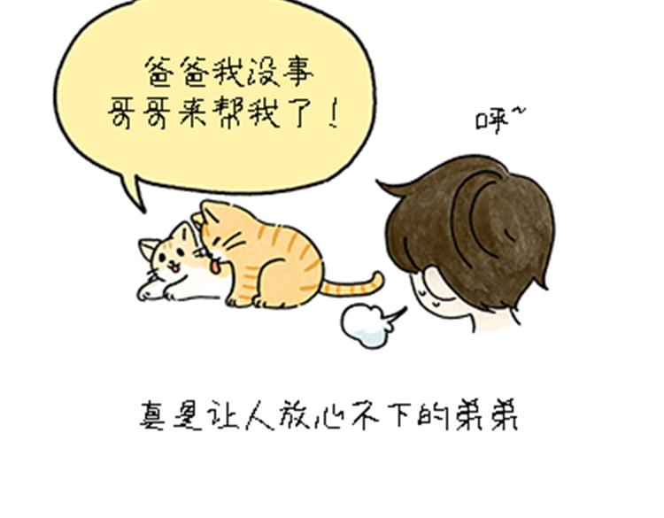 热可可和小奶油的梦之星电台(1/2)-第32话