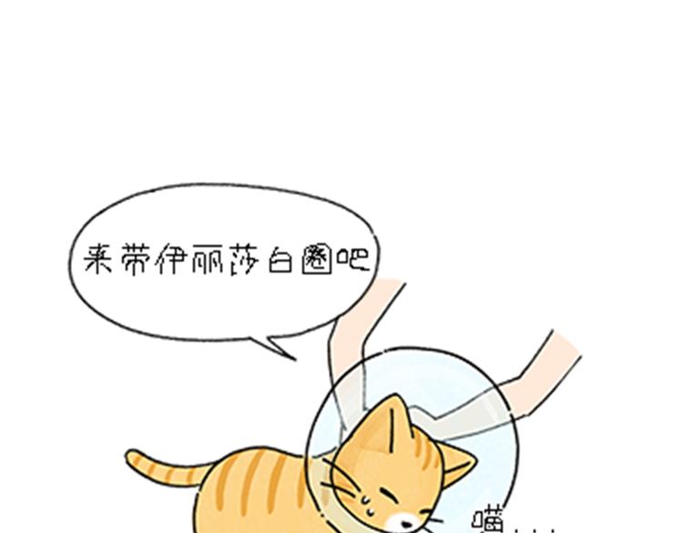 热可可和小奶油的梦之星电台(1/2)-第32话