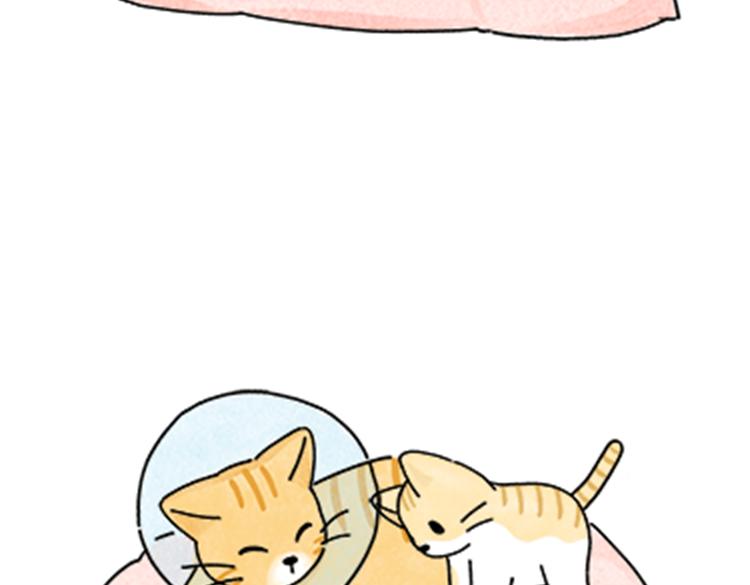 热可可和小奶油的梦之星电台(1/2)-第32话