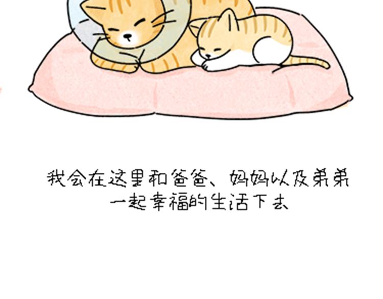 热可可和小奶油的梦之星电台(1/2)-第32话