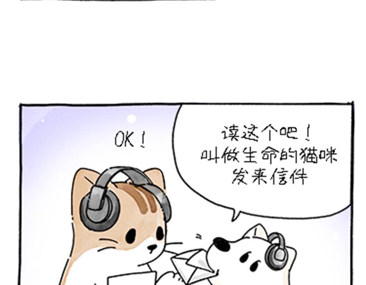 热可可和小奶油的梦之星电台(1/2)-第32话