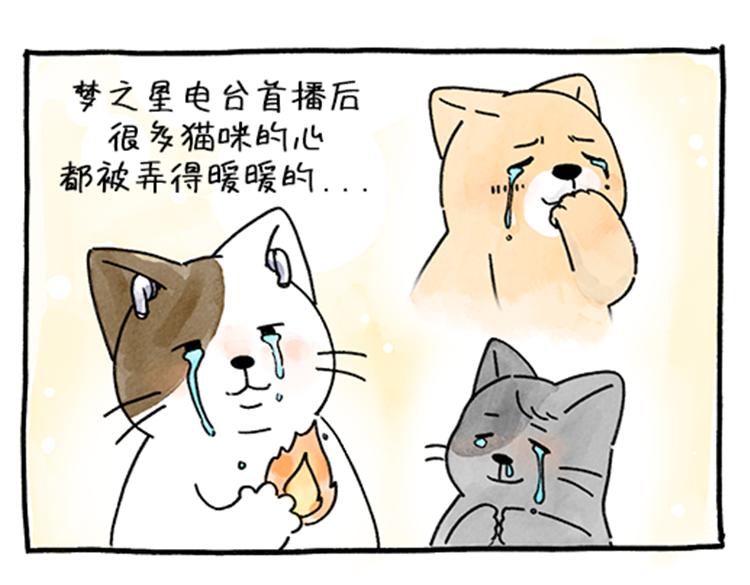 吐司貓咪POUNDCAT - 春福的故事 - 1