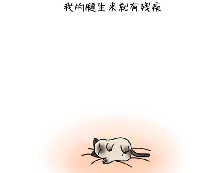 春福的故事-第34话