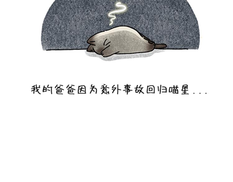 春福的故事-第34话