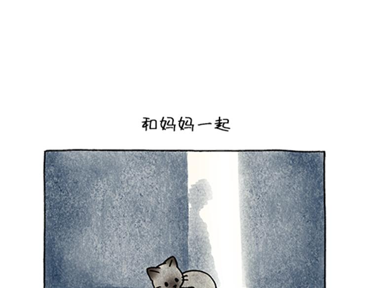 吐司貓咪POUNDCAT - 春福的故事 - 1