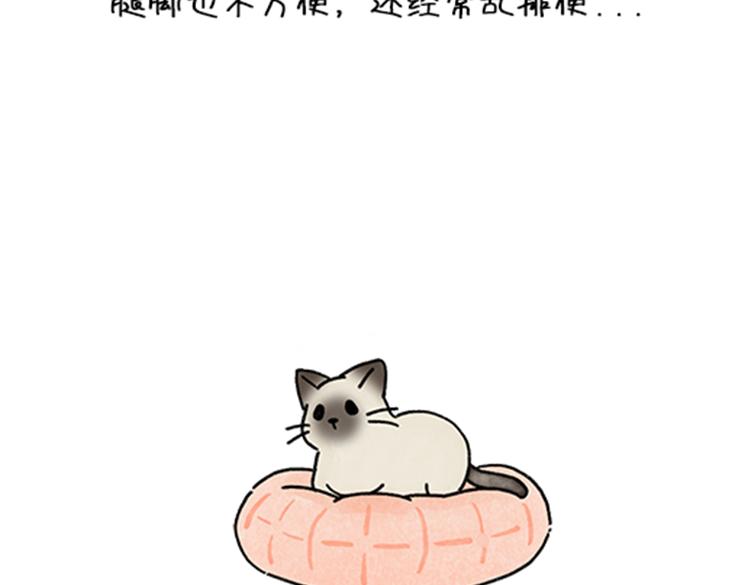 春福的故事-第34话